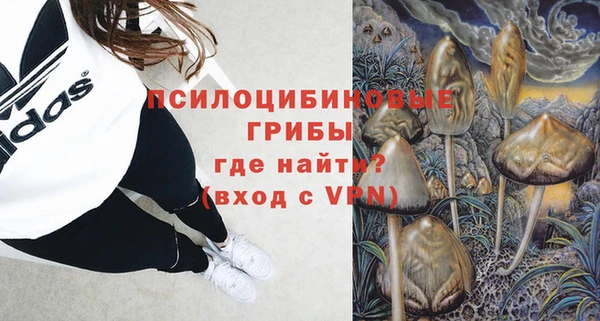 шишки Беломорск