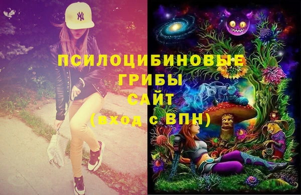 метамфетамин Богородицк