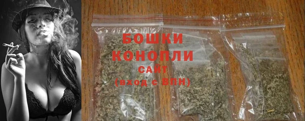 ешки Белокуриха