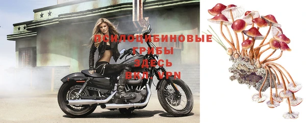 ешки Белокуриха